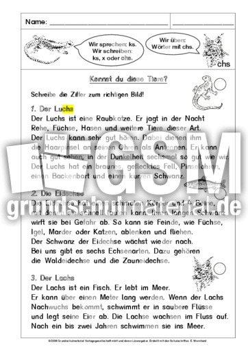 31-In Silben lesen-chs-AB 2.pdf